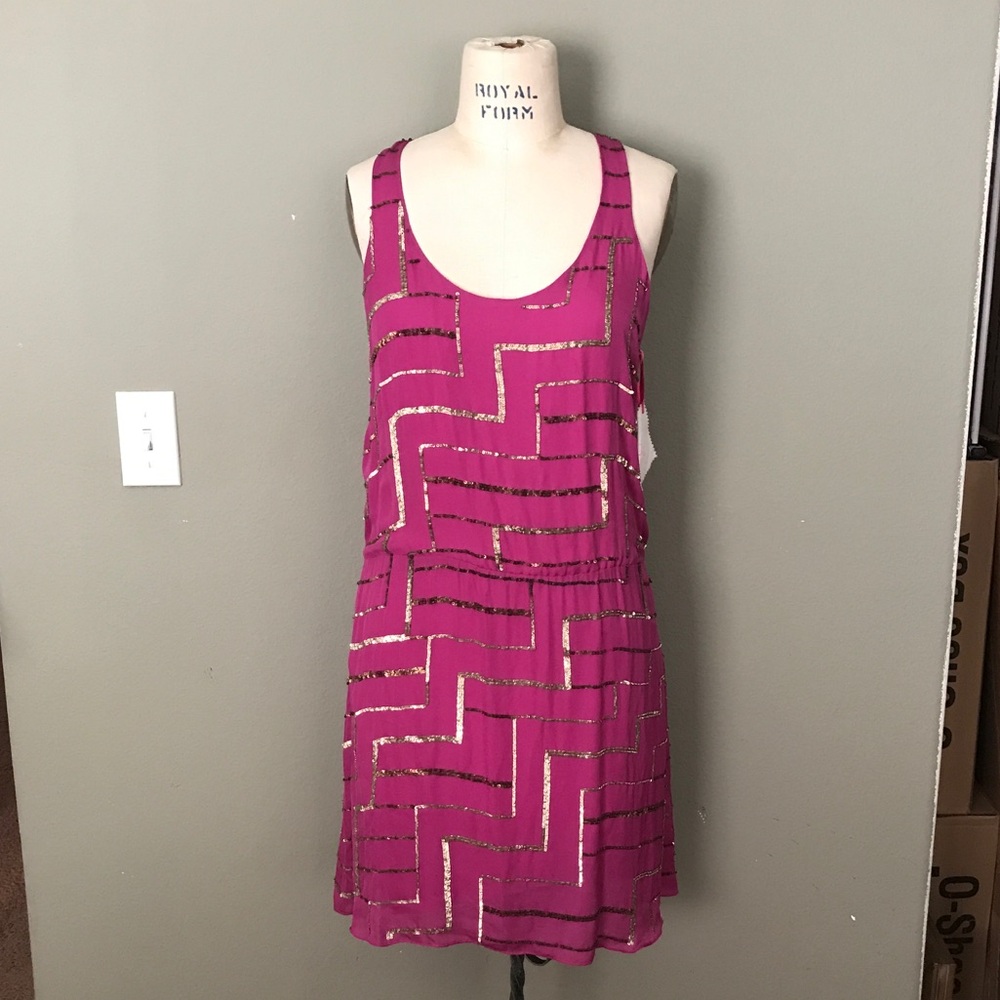 Parker Dropped Waist Sequined Dress